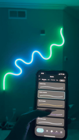 NeonFlex Rope Light