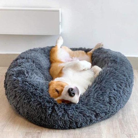 RelaxRim Dog Bed